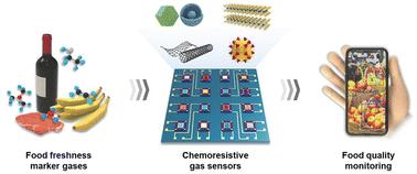 Food quality assessment using chemoresistive gas sensors: achievements and future perspectives