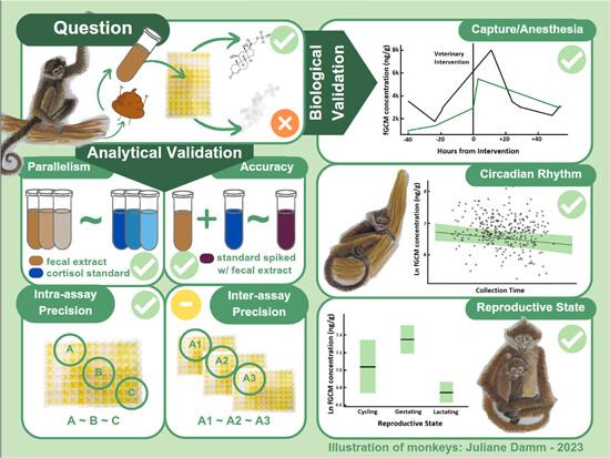 Analytical and biological validation of a noninvasive measurement of glucocorticoid metabolites in feces of Geoffroy's spider monkeys (Ateles geoffroyi)