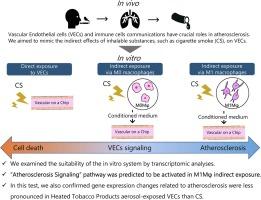 RNA sequencing analysis of early-stage atherosclerosis in vascular-on-a-chip and its application for comparing combustible cigarettes with heated tobacco products