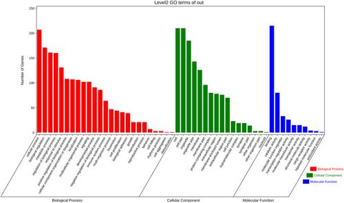 Identification of new diagnostic targets for hepatitis B virus-induced liver fibrosis