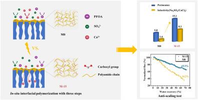 In-situ interfacial polymerization of zwitterionic nanofiltration membranes with anti-scaling performance