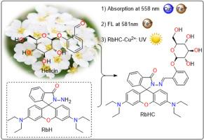 Synthesis of rhodamine-helicin fluorescent probe for colorimetric detection of Cu2+ and fluorescent recognition of Fe3+