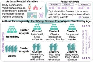 Cluster analysis of phenotypes, job exposure, and inflammatory patterns in elderly and nonelderly asthma patients