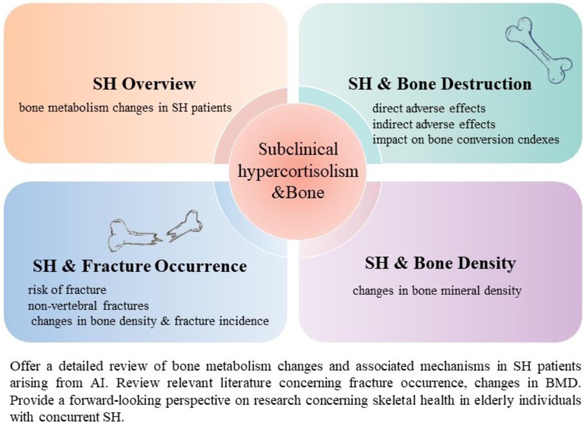 Unveiling the hidden impact: Subclinical hypercortisolism and its subtle influence on bone health