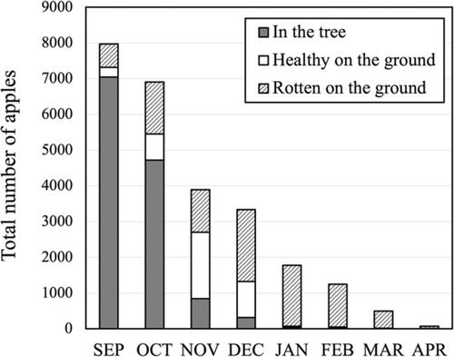 Fallen fruit: A backup resource during winter shaping fruit fly communities