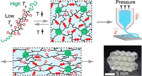 3D Printable Modular Soft Elastomers from Physically Cross-linked Homogeneous Associative Polymers