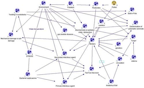 Tail Fan Necrosis syndrome in decapod crustaceans: A review