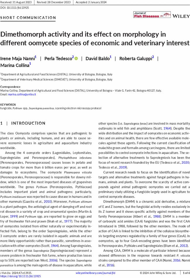 Dimethomorph activity and its effect on morphology in different oomycete species of economic and veterinary interest