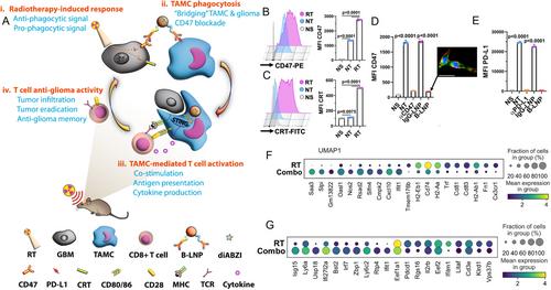 Nanotechnology-Empowered Combination Cancer Immunotherapies: Mechanisms, Synergies, and Perspectives