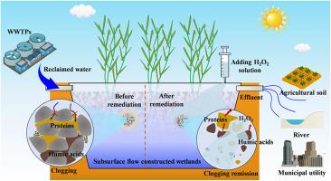 A feasible method for the composition analysis and chemical remediation of clogging matter in subsurface flow constructed wetlands