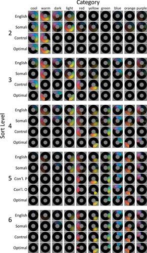 Color sorting and color term evolution