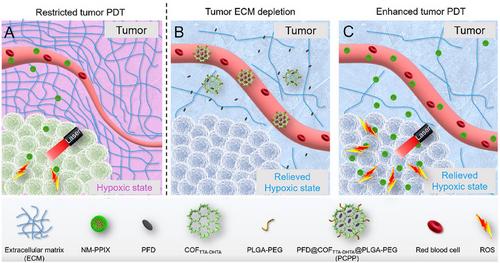 A panoramic perspective of recent progress in 2D and 3D covalent organic frameworks for drug delivery