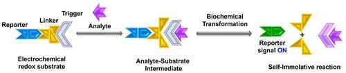 Self-Immolative Electrochemical Redox Substrates: Emerging Artificial Receptors in Sensing and Biosensing