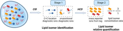 Lipid Isobaric Mass Tagging for Enhanced Relative Quantification of Unsaturated sn-Positional Isomers