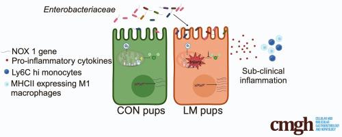 A Murine Model of Maternal Micronutrient Deficiencies and Gut Inflammatory Host-microbe Interactions in the Offspring