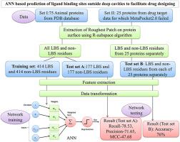 ANN based prediction of ligand binding sites outside deep cavities to facilitate drug designing