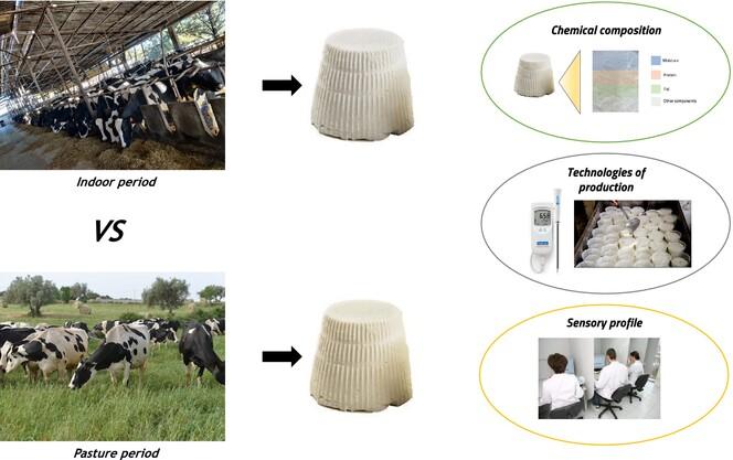 Preliminary evaluation of Hyblean Ricotta cheese through seasons, a comparison of the chemical and sensory characteristics