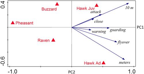 Function of juvenile plumage in the northern goshawk (Accipiter gentilis): aggressive mimicry hypothesis