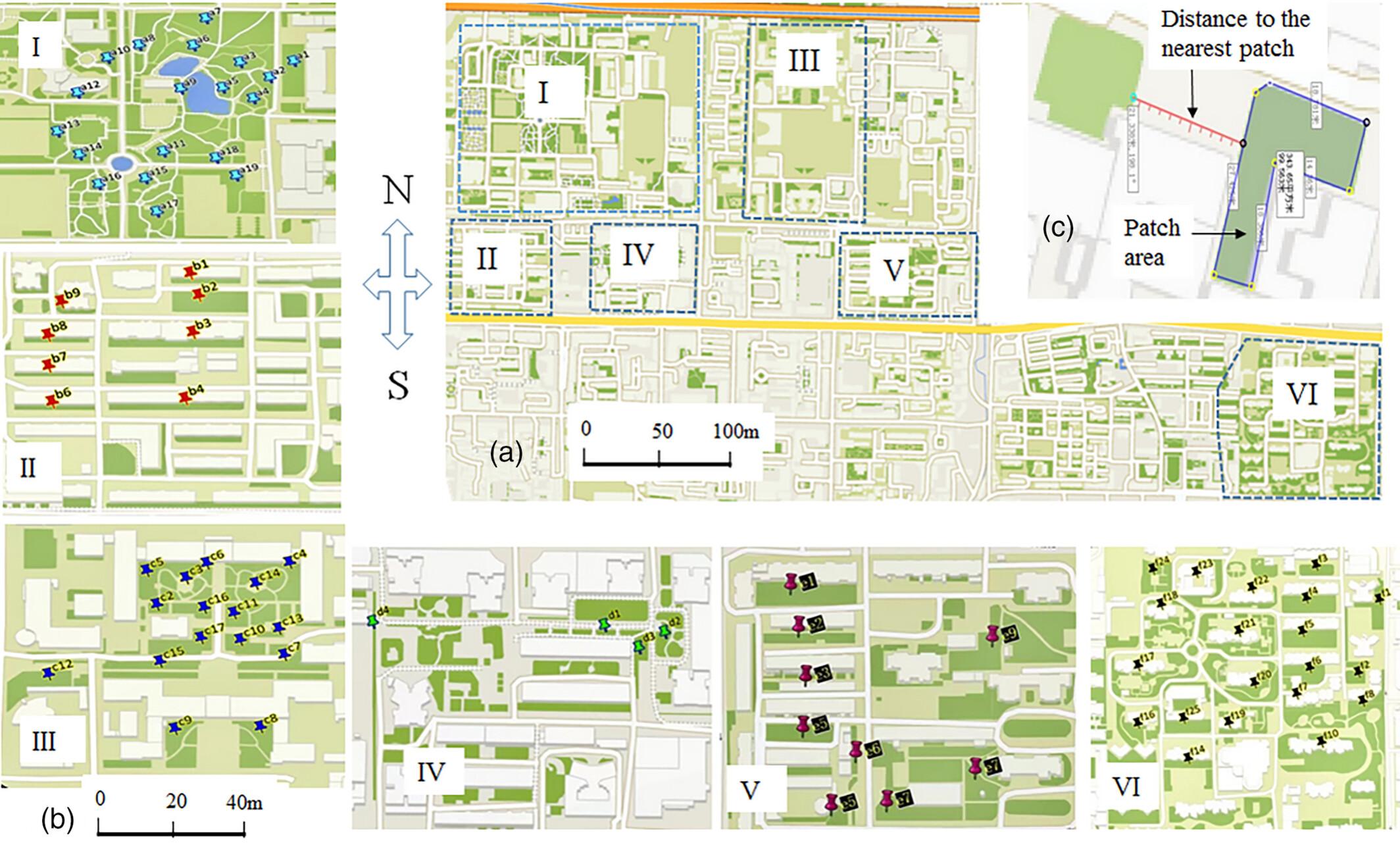 Body size shift in sympatric insects in response to distinct selective forces in fragmented urban environments