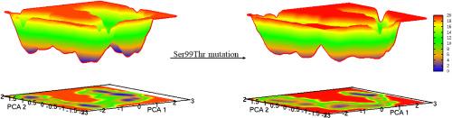 Alternate conformations found in protein structures implies biological functions: A case study using cyclophilin A