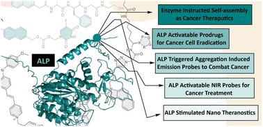 Emerging potential approaches in alkaline phosphatase (ALP) activatable cancer theranostics