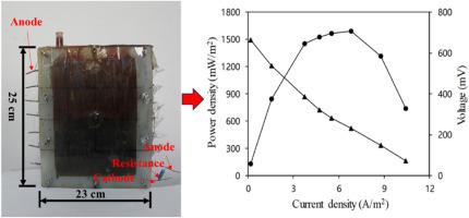 Enhanced electricity generation of a 1.2-L microbial fuel cell with acclimation of applied voltage