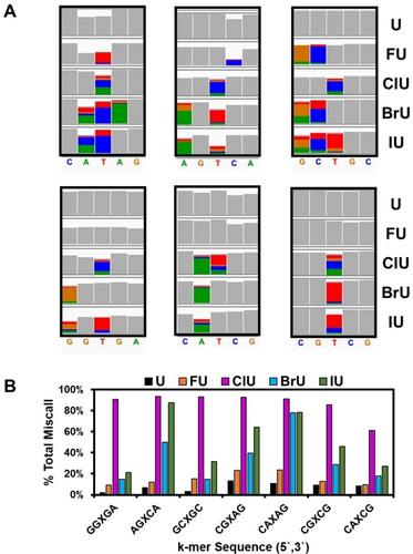 Nanopore Direct RNA Sequencing for Modified Uridine Nucleotides Yields Signals Dependent on the Physical Properties of the Modified Base