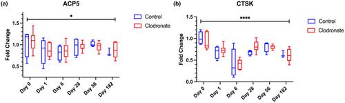 Effect of clodronate on gene expression in the peripheral blood of horses