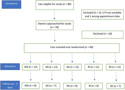 Effect of meloxicam or robenacoxib administration timing on renal function and postoperative analgesia in cats undergoing ovariohysterectomy: A randomized, blinded, controlled clinical trial