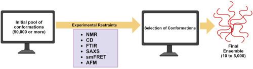 Experimental methods to study the structure and dynamics of intrinsically disordered regions in proteins