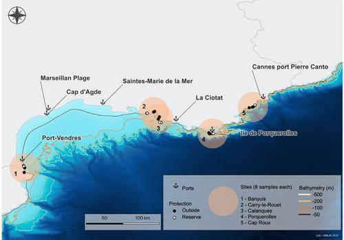 Benchmarking fish biodiversity of seaports with eDNA and nearby marine reserves