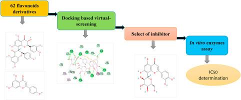 Identification of cholinesterases inhibitors from flavonoids derivatives for possible treatment of Alzheimer's disease: In silico and in vitro approaches