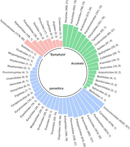 Responses of the hyper-diverse community of canopy-dwelling Hymenoptera to oak decline