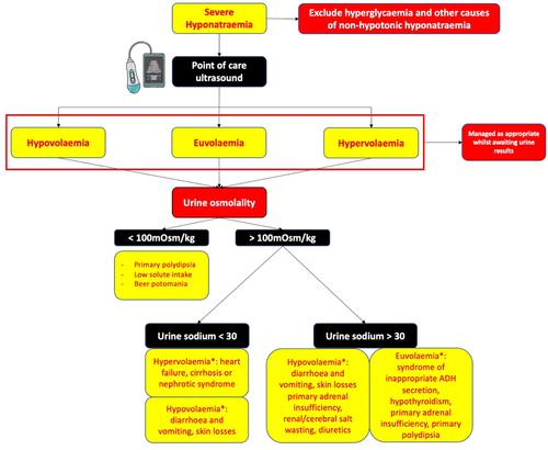 Point-of-care ultrasound is a useful adjunct tool to a clinician's assessment in the evaluation of severe hyponatraemia