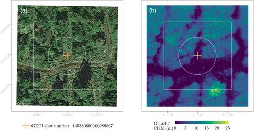 Quantifying and correcting geolocation error in spaceborne LiDAR forest canopy observations using high spatial accuracy data: A Bayesian model approach