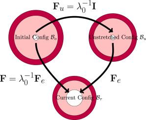 Analytical and numerical solutions of pore formation in elastic food materials during dehydration