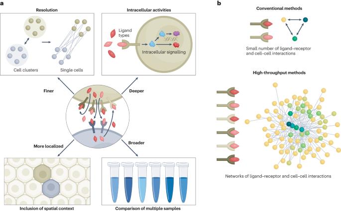 The diversification of methods for studying cell–cell interactions and communication