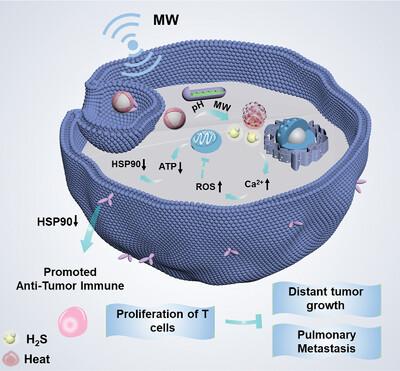 H2S-Mediated Gas Therapy and HSP90 Downregulation Synergically Enhance Tumor Microwave Thermal Therapy