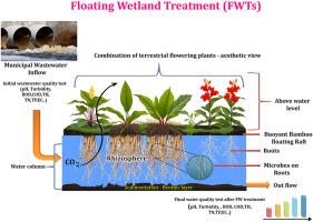 A sustainable green solution to domestic sewage pollution: Optimizing floating wetland treatment with different plant combinations and growth media