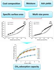 CH4 adsorption capacity of coalbed methane reservoirs induced by microscopic differences in pore structure