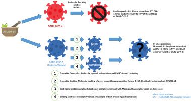 Evaluating therapeutic potential of AYUSH-64 constituents against omicron variant of SARS-CoV-2 using ensemble docking and simulations