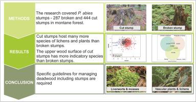 Cut stumps vs broken stumps: Does it make any difference in the maintenance of plant and lichen biodiversity in Central European mountain forests?