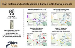 A baseline epidemiological survey for malaria and schistosomiasis reveals an alarming burden in primary schools despite ongoing control in Chikwawa District, southern Malawi