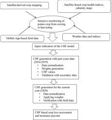 Transformative crop insurance solution with big earth data: Implementation for potato in India