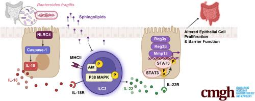 Bacterial Sphingolipids Exacerbate Colitis by Inhibiting ILC3-derived IL-22 Production