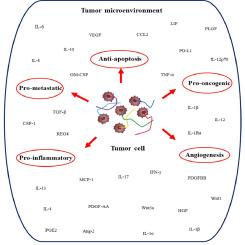 The effects of tumor-derived supernatants (TDS) on cancer cell progression: A review and update on carcinogenesis and immunotherapy