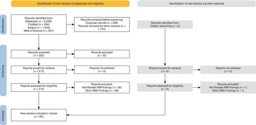 A systematic review of brain metastases from lung cancer using magnetic resonance neuroimaging: Clinical and technical aspects