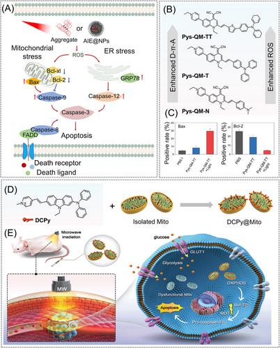 Activated aggregation-induced emission therapeutics agents for triggering regulated cell death