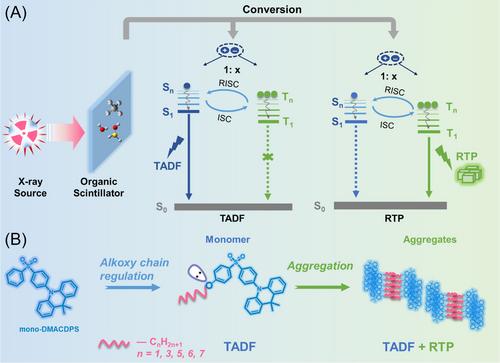 Organic molecules with dual triplet-harvesting channels enable efficient X-ray scintillation and imaging