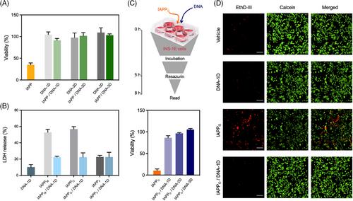 DNA nanostructures prevent the formation of and convert toxic amyloid proteospecies into cytocompatible and biodegradable spherical complexes